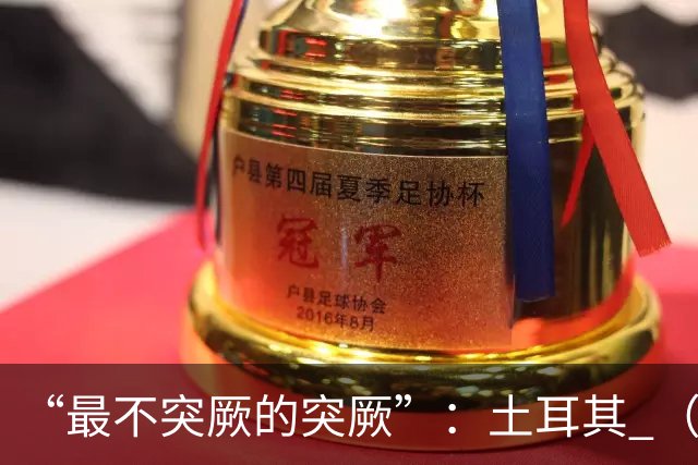 “最不突厥的突厥”：土耳其 （中土网友大战系列之一）
