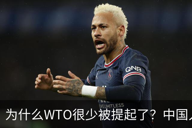 为什么WTO很少被提起了？中国入世谈判花了15年，如今几乎被架空