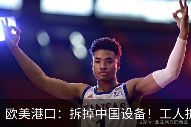 欧美港口：拆掉中国设备！工人拆完，领导：我让你拆的是，Logo