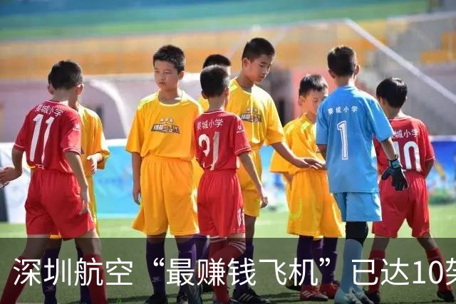 深圳航空“最赚钱飞机”已达10架！