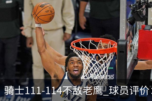 骑士111-114不敌老鹰 球员评价：4人优秀，3人及格，3人低迷