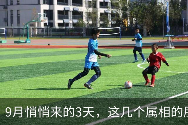 9月悄悄来的3天，这几个属相的朋友，要抓住属于自己的好机会咯