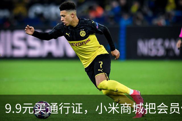 9.9元买通行证，小米商城把会员做成了盲盒